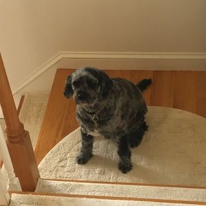 Meet your Posher, Suzy